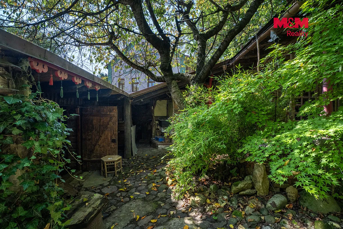 Fotka 27 z 30